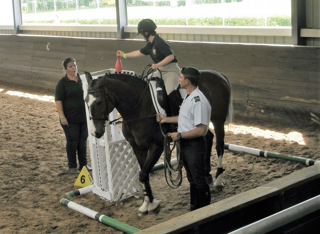 Associação de Equitação Adaptada Barlavento | Riding for the Disabled Barlavento