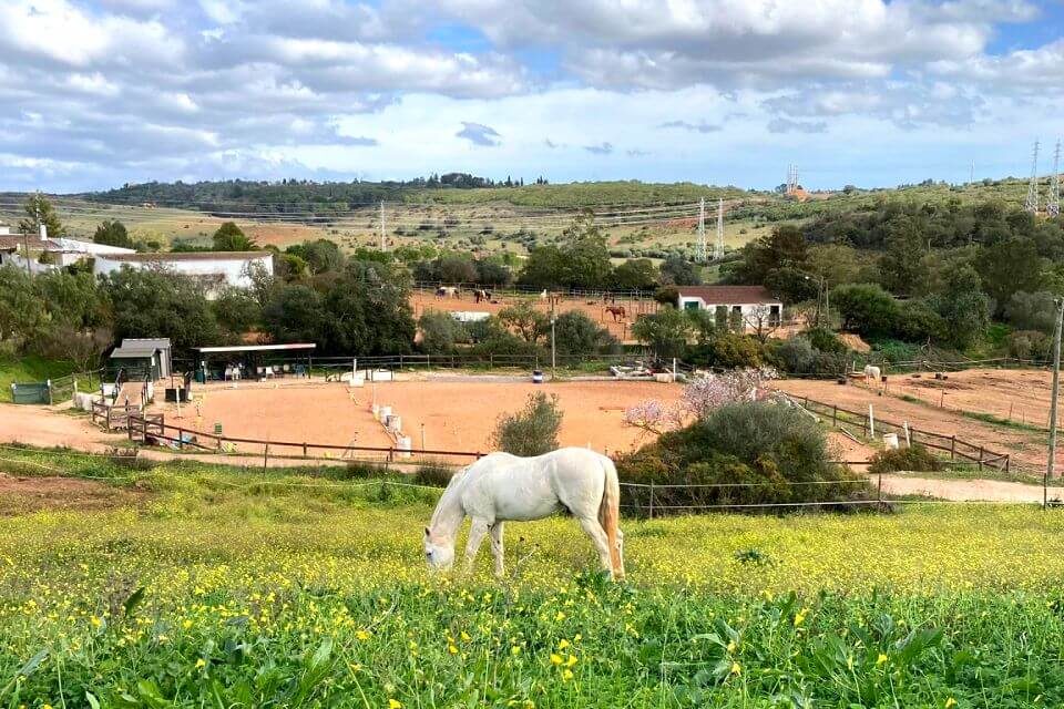 QPA Horseriding, Bensafrim, Algarve, Portugal